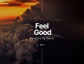 Fineboy Dj Terry Feel Good (Mixtape) Mp3 Download
