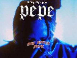 Boyspyce Pepe Instrumental Download